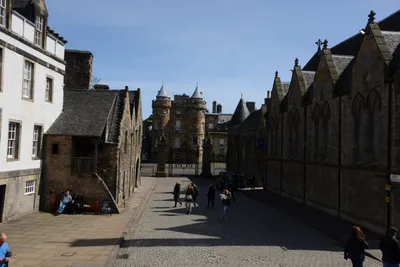 DSC_7342 (Large).JPG